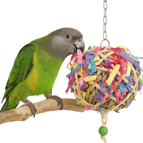 Piłka do dziobania M- dla średnich PaPug od ParrotPlanet.pl