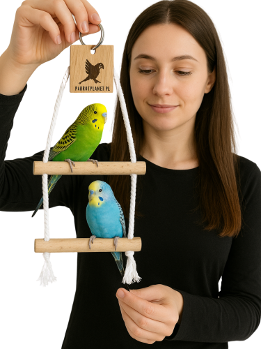 Parrot Planet Naturalnie - Brzozowa Huśtawka dla małych papug