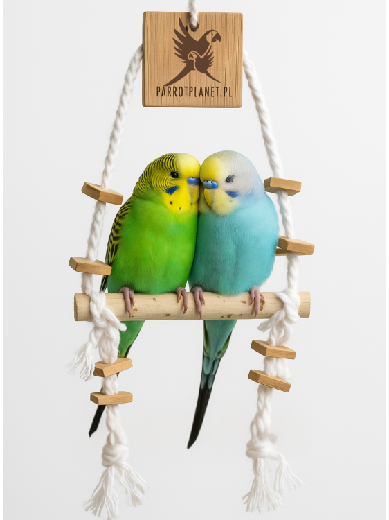 Parrot Planet Naturalnie - Brzozowa Huśtawka dla małych papug