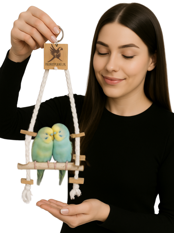 Parrot Planet Naturalnie - Brzozowa Huśtawka dla małych papug