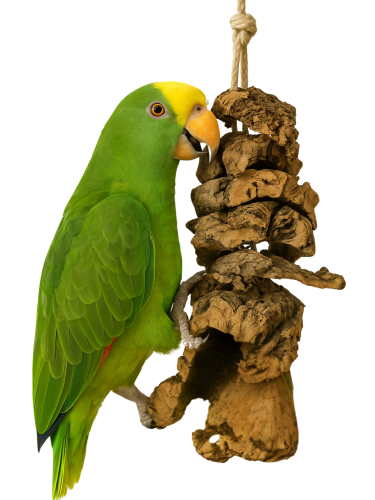 Naturalna Zabawka dla papug z Kory Dębu KorKowego L od ParrotPlanet.pl