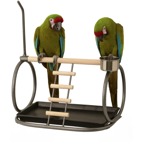 Plac zabaw dla średnich i dużych papug od ParrotPlanet.pl