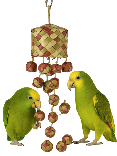 Happy Box – jouet interactif pour tous les perroquets ParrotPlanet.fr