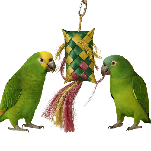 Powiew Wiatru - zabawka dla wszystkich papug od ParrotPlanet.pl