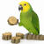 Jouets à ronger en liège pour perroquets | Lot de 3 | Jouet naturel et sécurisé de ParrotPlanet.fr