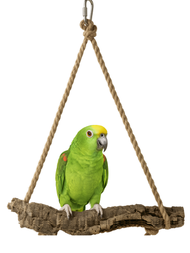 Hamac naturel en liège de chêne XXL pour perruches et grands oiseaux de ParrotPlanet.fr