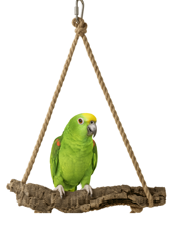 Hamac naturel en liège de chêne XXL pour perruches et grands oiseaux de ParrotPlanet.fr