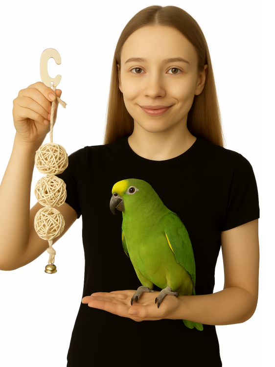 Wesołe Kuleczki - dla małych i średnich papug od ParrotPlanet.pl