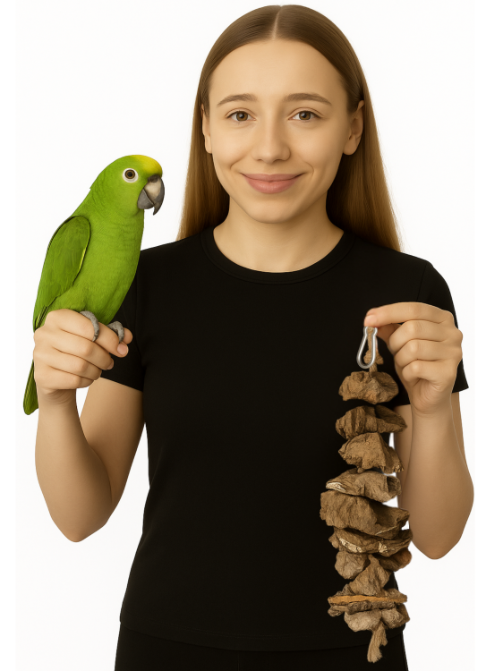 Bille de mastication naturelle en liège pour petits et moyens perroquets de ParrotPlanet.fr