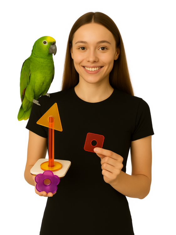 Zabawka Sztuczka Alex'a- zabawka logiczna dla papug od ParrotPlanet.pl
