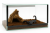 Terrarium 30x30x20 cm – Dla Ptaszników naziemnych | Skorpionów | Duże ślimaki | Kolonie mrówek | Szkło 4 mm, Gilotyna, Wentylacja Góra–Dół od ParrotPlanet.pl