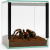 Terrarium 25x25x25 cm – Dla Ptaszników naziemnych | Skorpionów | modliszki naziemne | ślimaki lądowe | Szkło 4 mm, Gilotyna, Wentylacja Góra–Dół od ParrotPlanet.pl