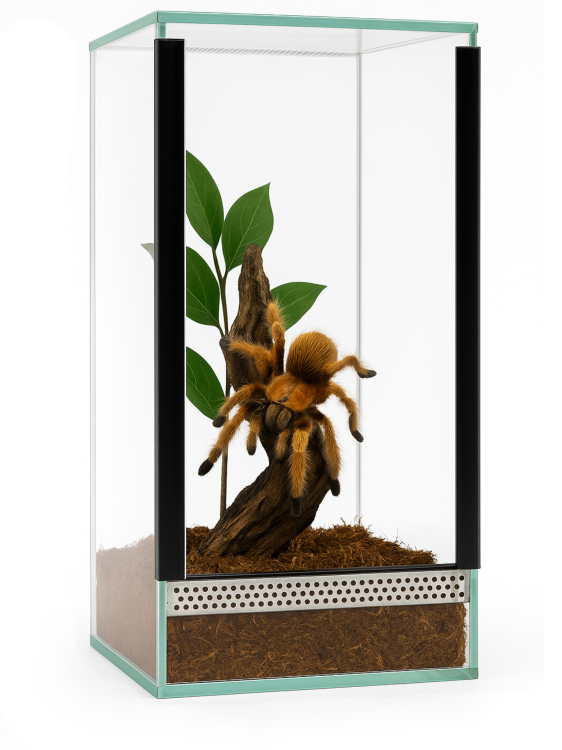 Terrarium 15x15x30 cm – Dla Ptaszników naziemnych | Skorpionów | modliszki naziemne | ślimaki lądowe | Szkło 4 mm, Gilotyna, Wentylacja Góra–Dół od ParrotPlanet.pl