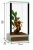 Terrarium 15x15x30 cm – Dla Ptaszników naziemnych | Skorpionów | modliszki naziemne | ślimaki lądowe | Szkło 4 mm, Gilotyna, Wentylacja Góra–Dół od ParrotPlanet.pl