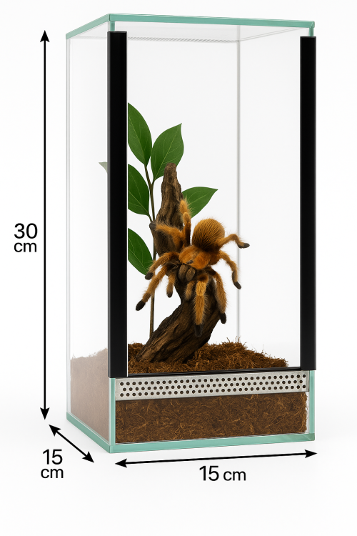 Terrarium 15x15x30 cm – Dla Ptaszników naziemnych | Skorpionów | modliszki naziemne | ślimaki lądowe | Szkło 4 mm, Gilotyna, Wentylacja Góra–Dół od ParrotPlanet.pl