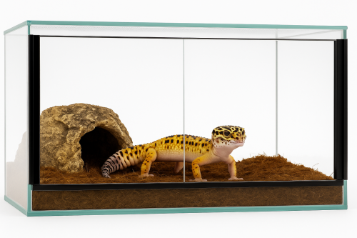 Terrarium 60x40x40 cm – Dla Gekonów, Węży, Agamy i Żółwi | Drzwi Przesuwne, Wentylacja Góra–Dół, Szkło 4 mm od ParrotPlanet.pl