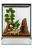 Terrarium 30x30x50 cm – Dla Gekona | Węża nadrzewnego | Ptaszników naziemnych | Małych nadrzewne gady i żabek | Szkło 4 mm, Gilotyna, Wentylacja Góra–Dół