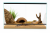 Terrarium 60x30x30 cm – Dla Gekona Lamparciego, Agamy i Ptaszników | Wentylacja Góra–Dół, Szkło 4 mm, Nowoczesne Prowadnice od ParrotPlanet.pl
