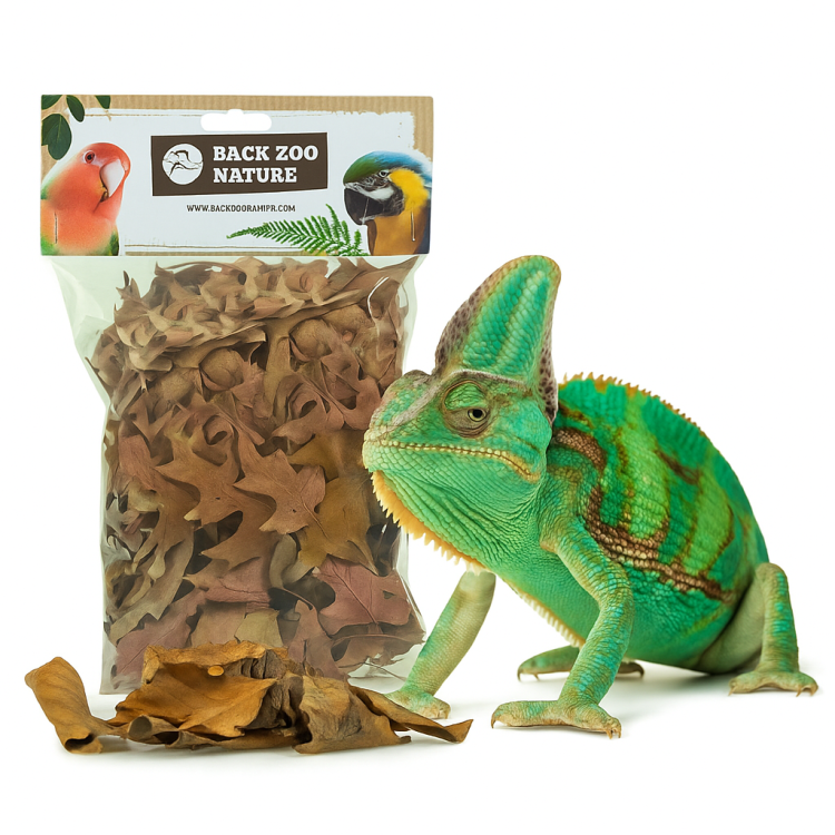 Złota Jesień – Naturalne Liście do Terrarium dla Gadów 35–50g | Dekoracja, Kryjówki, Warstwa Ściółki od ParrotPlanet.pl