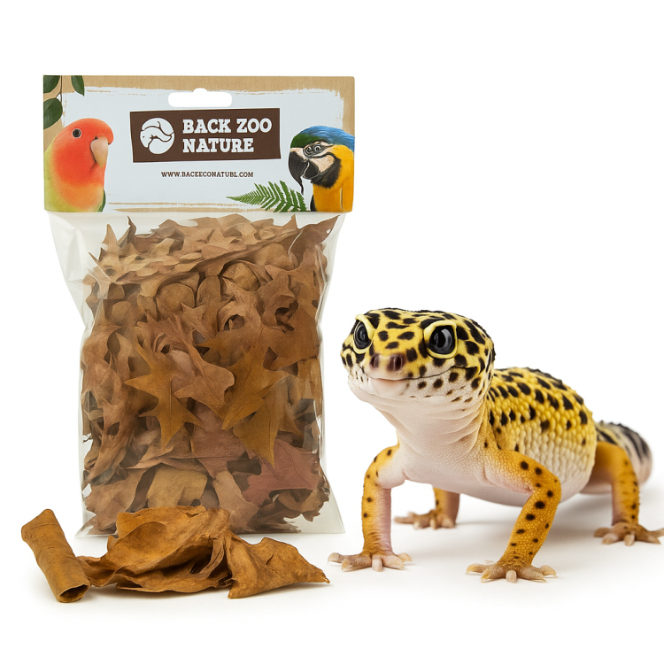 Złota Jesień – Naturalne Liście do Terrarium dla Gadów 35–50g | Dekoracja, Kryjówki, Warstwa Ściółki od ParrotPlanet.pl