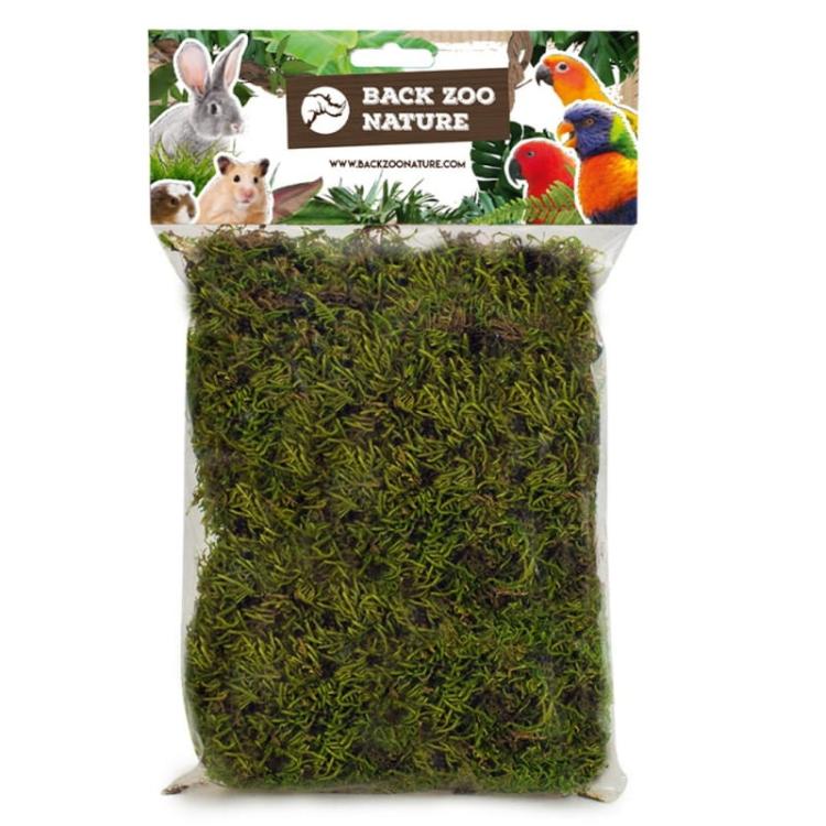 Mata z mchu 60x45 cm – naturalne tło do terrarium dla gadów i płazów od ParrotPlanet.pl