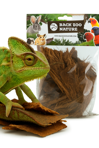 Kora palmowa – naturalna dekoracja i kryjówka do terrarium dla gadów i płazów od ParrotPlnet.pl