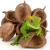 Naturalna miseczka z orzecha Budda Nuts XL – kryjówka i dekoracja do terrarium gadów od ParrotPlanet.pl
