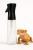 Extreme MistMaker 300ml – niezawodny atomizer do precyzyjnego zraszania terrarium. Idealny dla gatunków wymagających wysokiej wilgotności od ParrotPlanet.pl