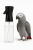 Atomiseur Extreme MistMaker 300ml pour la baignade des perroquets  de ParrotPlanet.fr
