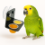 Akrylowy Uchwyt - do galaretek dla papug od ParrotPlanet.pl