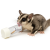 Tube sensorielle pour friandises – enrichment et jouet pour sugar gliders | Parrot Planet.fr