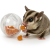 Balle sensorielle pour sugar gliders – jouet et mangeoire d’enrichissement | Parrot Planet.fr