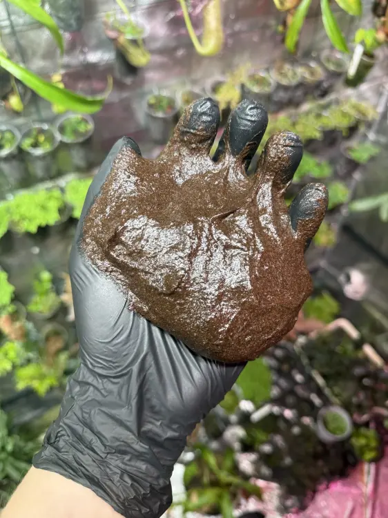 MossBase 40g – baza do stabilizacji suchych mchów i kompozycji dekoracyjnych | ParrotPlanet