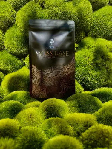 MossBase 40g – baza do stabilizacji suchych mchów i kompozycji dekoracyjnych | ParrotPlanet
