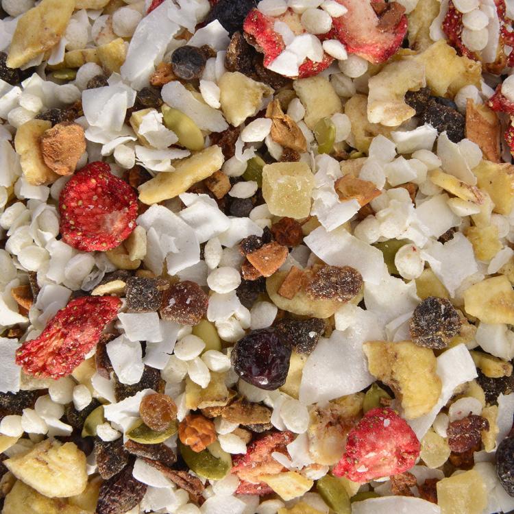 Comilona de Baya – mélange naturel de fruits tropicaux et baies pour perroquets, 500 g ParrotPlanet.fr