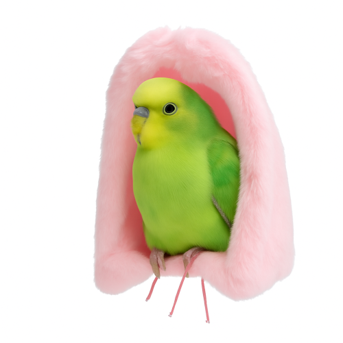 Niche douillette en polaire pour medium perroquets - Parrot Planet.fr