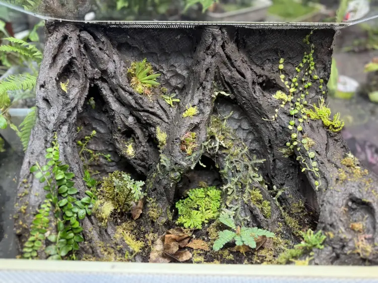 TropicalClay™ 2kg – naturalna glinka do budowy ścianek w terrarium | Parrot Planet