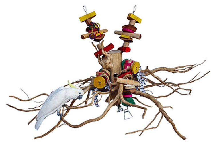Giant Java Crown – balançoire et aire de jeu moyenne en noix de coco et bois pour perroquets | ParrotPlanet.fr