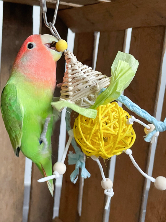 Jouet coloré en osier et papier pour oiseaux – Gnome pour petites perruches | ParrotPlanet.fr