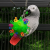 Sucettes suspendues dans une balle L – jouet créatif pour grands et moyens perroquets, vert | ParrotPlanet.fr