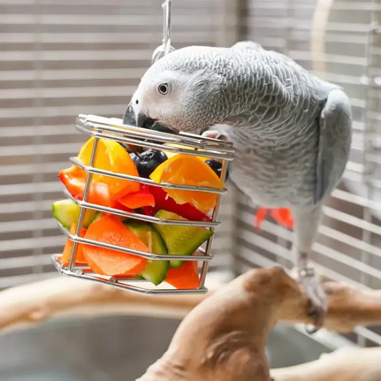 Klatka na łakocie II - dla średnich i dużych papug od ParrotPlanet.pl