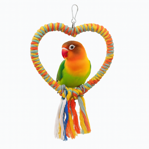 Jolie balançoire en forme de cœur pour petites perruches | Parrot Planet.fr