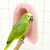 Grotte polaire douillette – tente pour perroquets moyens, rose, taille L | ParrotPlanet.fr
