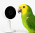 Kamera WIFI – sterowalna kamera do monitoringu papug i innych zwierząt od ParrotPlanet.pl