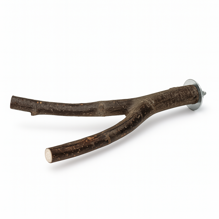 Perche double en bois naturel pour petites et moyennes perruches 20 cm | Parrot Planet.fr