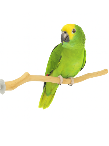 Perchoir en bois Java – pour perroquets moyens 30 cm | ParrotPlanet.fr