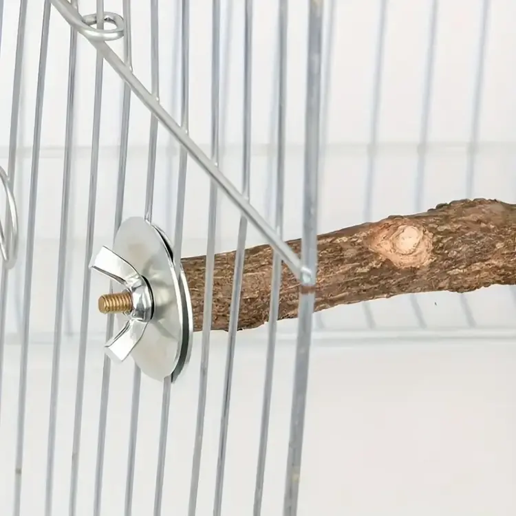 Perche double en bois naturel pour petites et moyennes perruches 20 cm | Parrot Planet.fr