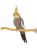 Perchoir en bois Java – pour perroquets moyens 20 cm | ParrotPlanet.fr