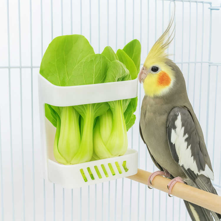 Panier pour fruits et légumes avec fixation à la cage – pour petites et moyennes perroquets, lot de 2 | ParrotPlanet.fr