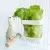 Panier pour fruits et légumes avec fixation à la cage – pour petites et moyennes perroquets, lot de 2 | ParrotPlanet.fr